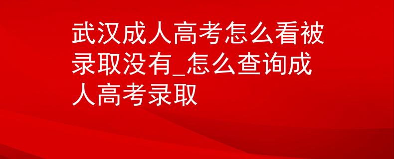 武漢成人高考怎么看被錄取沒有_怎么查詢成人高考錄取