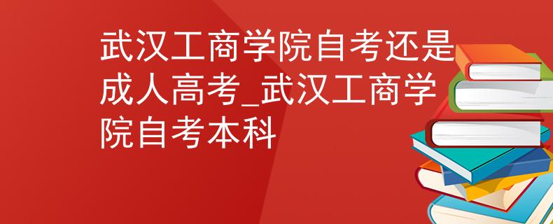 武漢工商學(xué)院自考還是成人高考_武漢工商學(xué)院自考本科