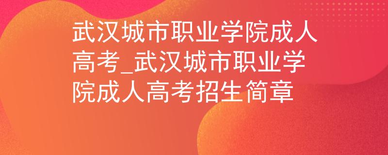 武漢城市職業(yè)學(xué)院成人高考_武漢城市職業(yè)學(xué)院成人高考招生簡章