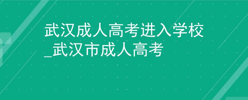 武漢成人高考進(jìn)入學(xué)校_武漢市成人高考