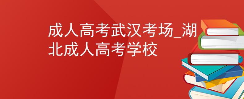 成人高考武漢考場_湖北成人高考學校