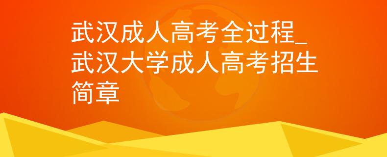 武漢成人高考全過程_武漢大學(xué)成人高考招生簡章