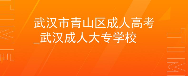 武漢市青山區(qū)成人高考_武漢成人大專學(xué)校 武漢市青山區(qū)成人高考_武漢成人大專學(xué)校