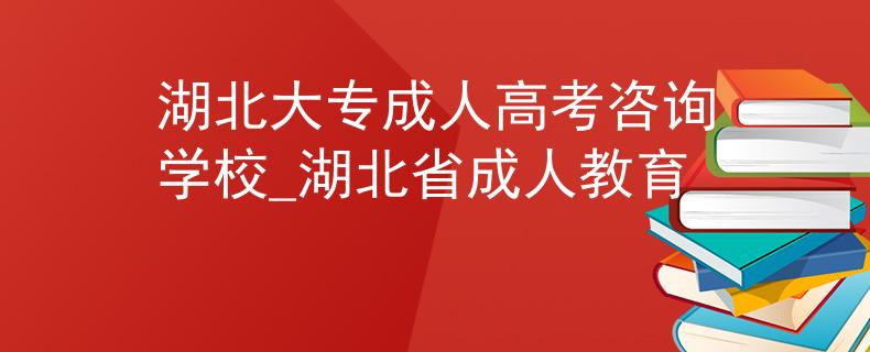 湖北大專成人高考咨詢學校_湖北省成人教育 湖北大專成人高考咨詢學校_湖北省成人教育