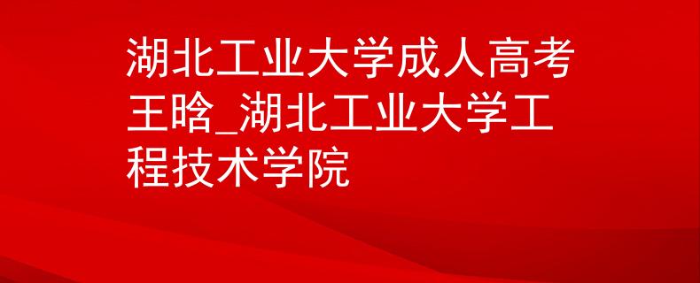 湖北工業(yè)大學(xué)成人高考王晗_湖北工業(yè)大學(xué)工程技術(shù)學(xué)院