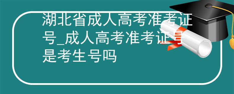 湖北省成人高考準(zhǔn)考證號(hào)_成人高考準(zhǔn)考證號(hào)是考生號(hào)嗎