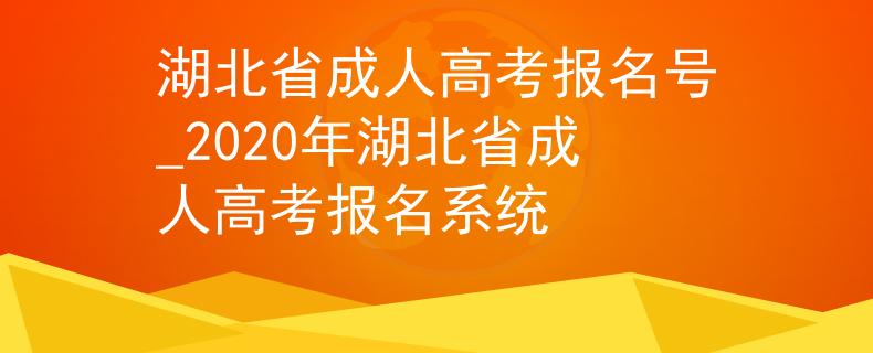 湖北省成人高考報名號_2020年湖北省成人高考報名系統(tǒng)