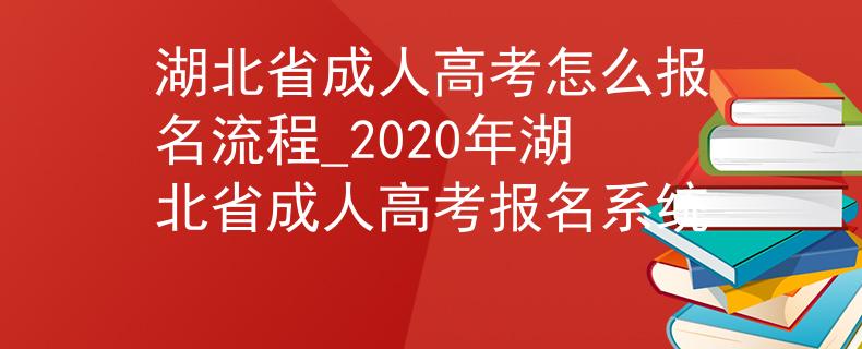 湖北省成人高考怎么報(bào)名流程_2020年湖北省成人高考報(bào)名系統(tǒng)