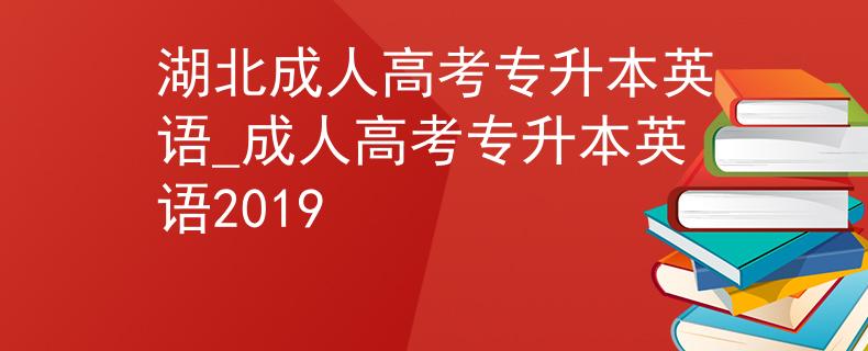 湖北成人高考專升本英語_成人高考專升本英語2019