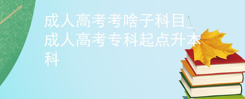成人高考考啥子科目_成人高考?？破瘘c(diǎn)升本科