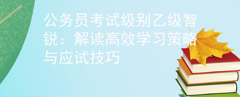 公務(wù)員考試級(jí)別乙級(jí)智銳：解讀高效學(xué)習(xí)策略與應(yīng)試技巧